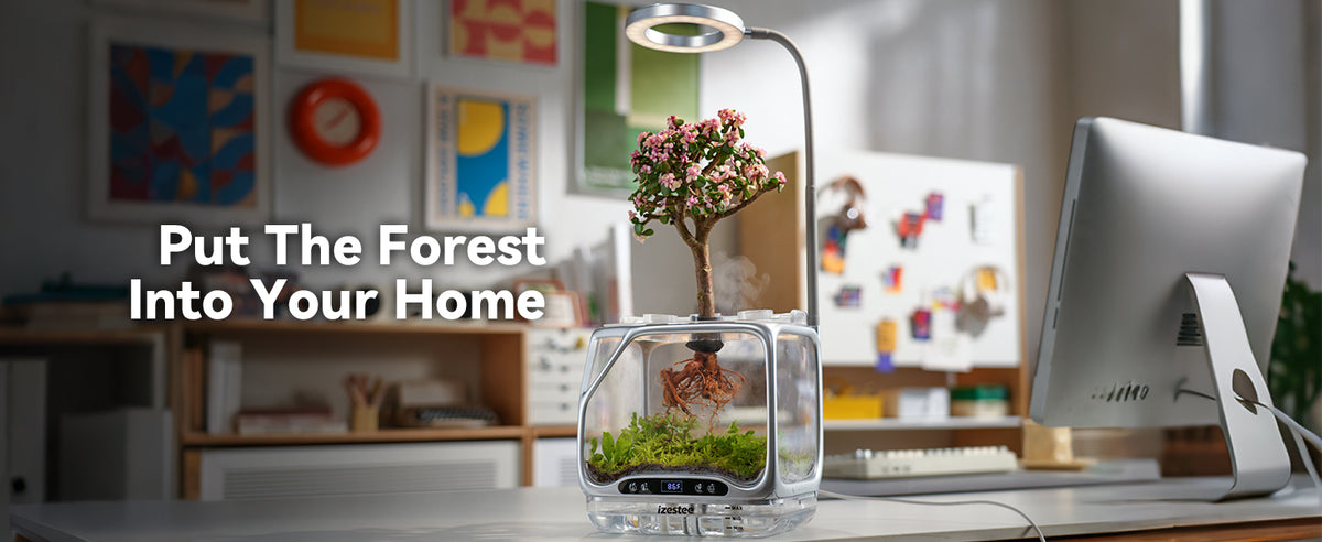 Put the forest into your home, Izestee Pro aeroponic terrarium on a table by a sunny window
