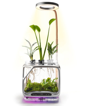 izestee community DIY terrarium creations