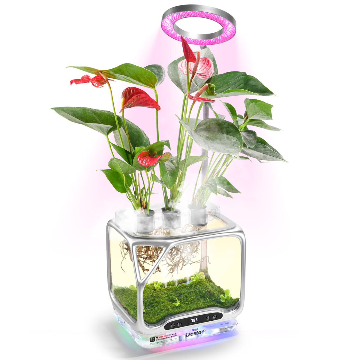 Izestee Pro aeroponic terrarium with grow light, transparent chamber showing roots, red anthurium and moss landscape