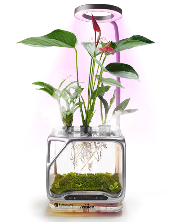 izestee brand moment: designing the visible-root aeroponic chamber
