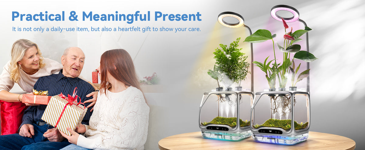 Practical and meaningful present, unique plant lover gift for birthday housewarming and Christmas