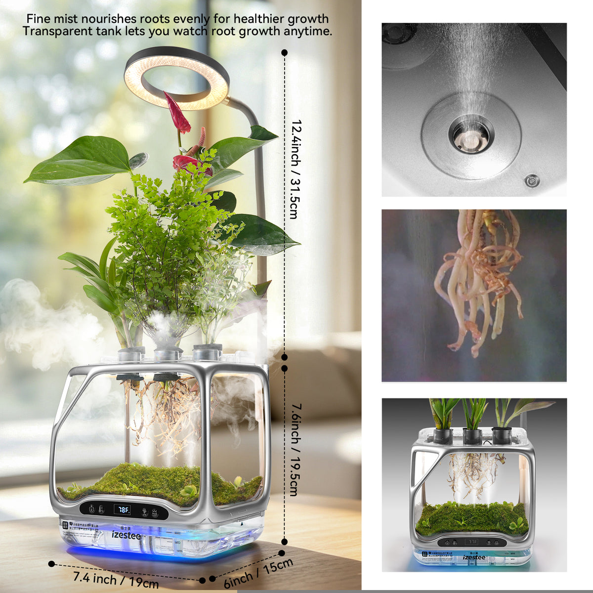 Desktop terrarium dimensions 7.4 by 6 by 12.4 inches, close-up of mist nozzle and visible plant roots