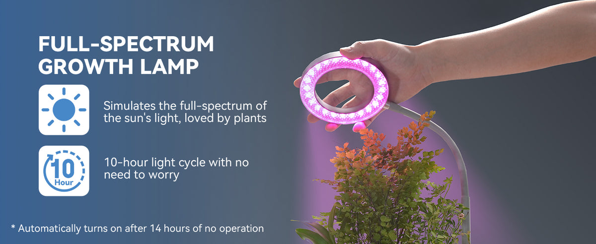 Dual spectrum ring grow light, 10 hour light cycle restarts automatically after 14 hours off