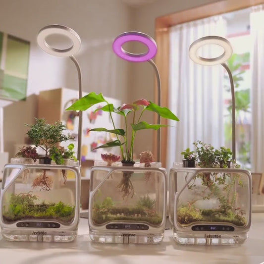 Izestee Pro DIY Aeroponic Terrarium with Grow Light
